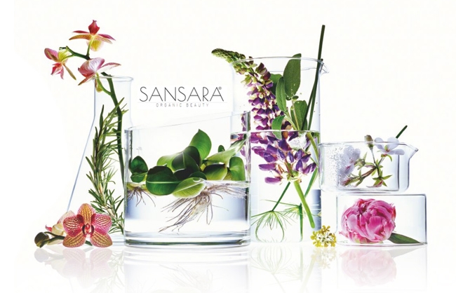 www.sansara.ro